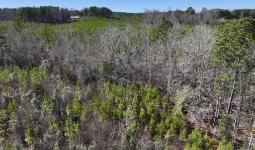 Photo #11 of SOLD property in Off Pine Grove Church Road , Eagle Springs, NC 11.2 acres