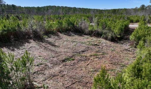 Photo #14 of SOLD property in Off Pine Grove Church Road , Eagle Springs, NC 11.2 acres