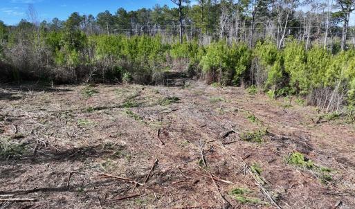 Photo #15 of SOLD property in Off Pine Grove Church Road , Eagle Springs, NC 11.2 acres