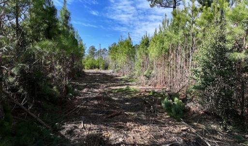 Photo #16 of Off Pine Grove Church Road , Eagle Springs, NC 11.2 acres