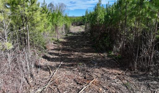 Photo #17 of Off Pine Grove Church Road , Eagle Springs, NC 11.2 acres