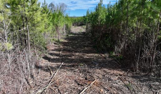 Photo #17 of SOLD property in Off Pine Grove Church Road , Eagle Springs, NC 11.2 acres