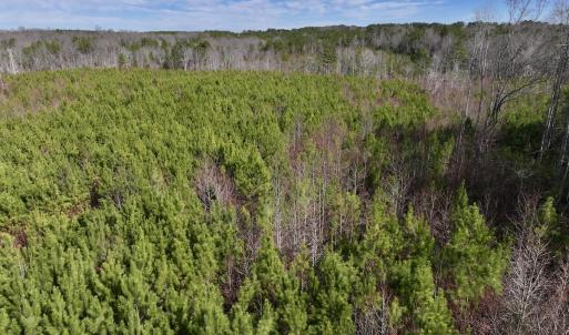 Photo #20 of SOLD property in Off Pine Grove Church Road , Eagle Springs, NC 11.2 acres