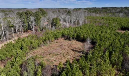 Photo #3 of SOLD property in Off Pine Grove Church Road , Eagle Springs, NC 11.2 acres