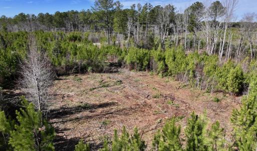 Photo #4 of SOLD property in Off Pine Grove Church Road , Eagle Springs, NC 11.2 acres