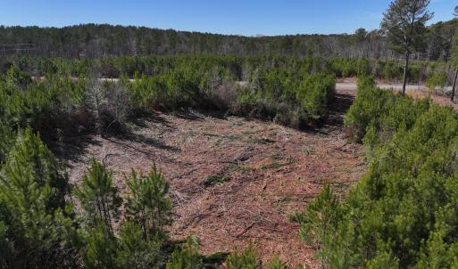 Photo #5 of SOLD property in Off Pine Grove Church Road , Eagle Springs, NC 11.2 acres