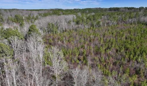 Photo #7 of SOLD property in Off Pine Grove Church Road , Eagle Springs, NC 11.2 acres