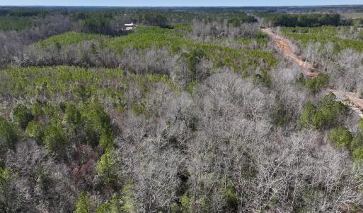 Photo #9 of SOLD property in Off Pine Grove Church Road , Eagle Springs, NC 11.2 acres