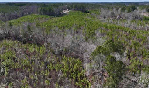 Photo #10 of SOLD property in Off Pine Grove Church Road , Eagle Springs, NC 11.2 acres