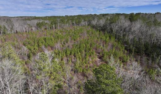 Photo #22 of SOLD property in Off Pine Grove Church Road , Eagle Springs, NC 11.2 acres