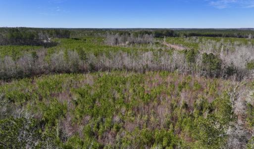 Photo #23 of SOLD property in Off Pine Grove Church Road , Eagle Springs, NC 11.2 acres