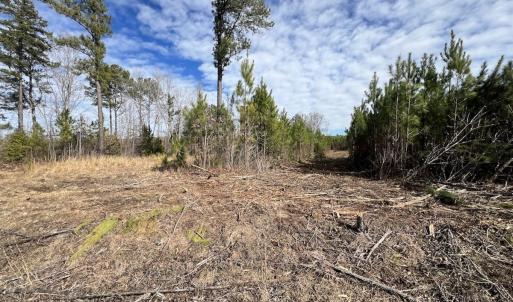 Photo #26 of SOLD property in Off Pine Grove Church Road , Eagle Springs, NC 11.2 acres