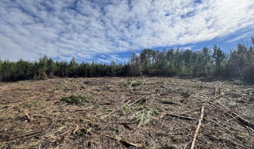 Photo #27 of SOLD property in Off Pine Grove Church Road , Eagle Springs, NC 11.2 acres