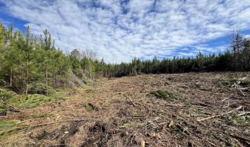 Photo #28 of SOLD property in Off Pine Grove Church Road , Eagle Springs, NC 11.2 acres