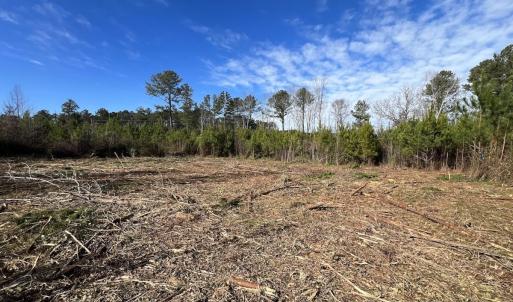 Photo #29 of SOLD property in Off Pine Grove Church Road , Eagle Springs, NC 11.2 acres