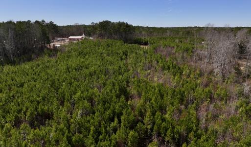 Photo #11 of SOLD property in Off Pine Grove Church Road, Eagle Springs, NC 10.8 acres