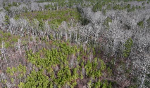 Photo #12 of SOLD property in Off Pine Grove Church Road, Eagle Springs, NC 10.8 acres