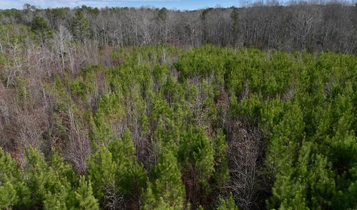 Photo #13 of SOLD property in Off Pine Grove Church Road, Eagle Springs, NC 10.8 acres