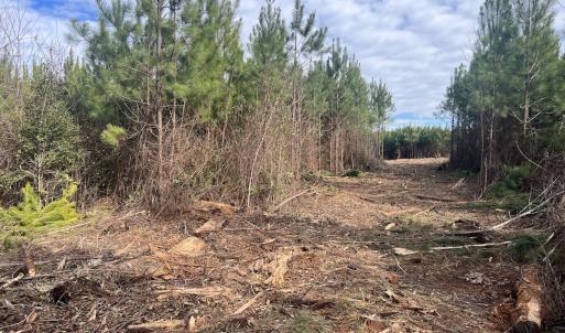 Photo #15 of SOLD property in Off Pine Grove Church Road, Eagle Springs, NC 10.8 acres