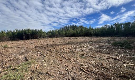 Photo #16 of SOLD property in Off Pine Grove Church Road, Eagle Springs, NC 10.8 acres