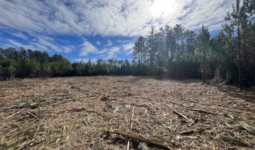 Photo #17 of SOLD property in Off Pine Grove Church Road, Eagle Springs, NC 10.8 acres