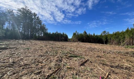 Photo #18 of SOLD property in Off Pine Grove Church Road, Eagle Springs, NC 10.8 acres