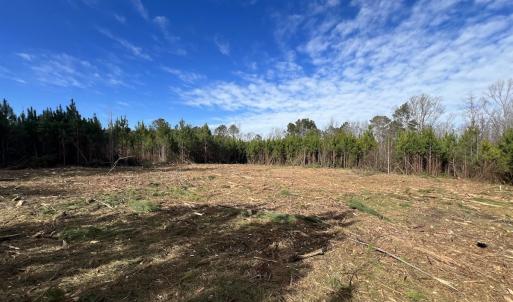 Photo #19 of SOLD property in Off Pine Grove Church Road, Eagle Springs, NC 10.8 acres