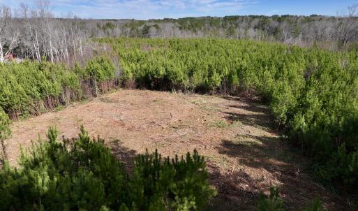 Photo #3 of SOLD property in Off Pine Grove Church Road, Eagle Springs, NC 10.8 acres