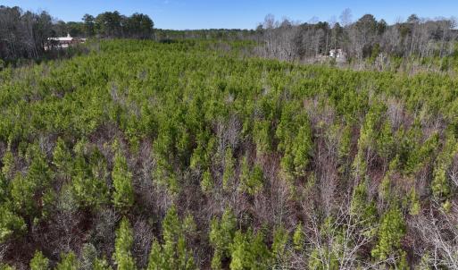Photo #9 of SOLD property in Off Pine Grove Church Road, Eagle Springs, NC 10.8 acres