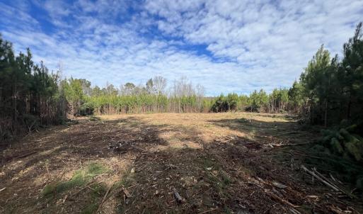 Photo #20 of SOLD property in Off Pine Grove Church Road, Eagle Springs, NC 10.8 acres