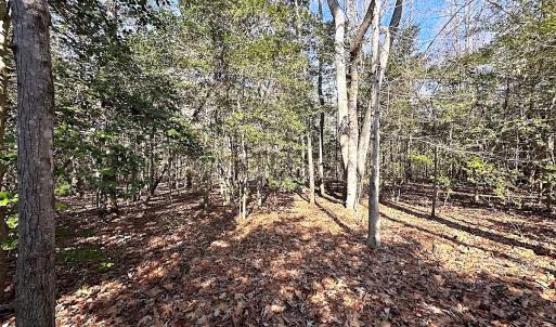 Photo #9 of SOLD property in Off Tuckers Road, Shacklefords, VA 25.5 acres