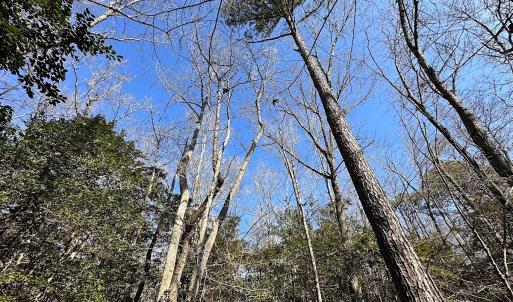 Photo #10 of SOLD property in Off Tuckers Road, Shacklefords, VA 25.5 acres