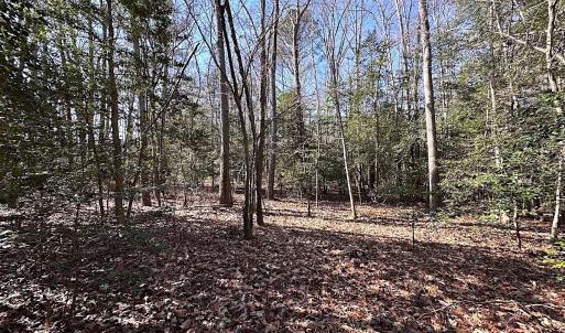 Photo #11 of SOLD property in Off Tuckers Road, Shacklefords, VA 25.5 acres