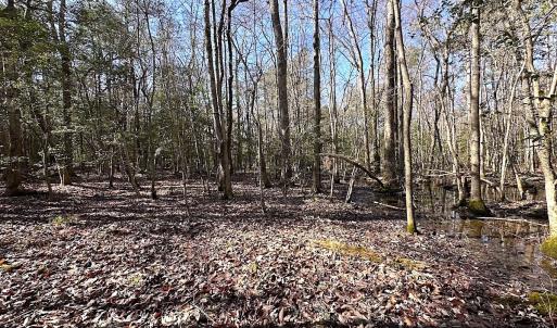 Photo #13 of SOLD property in Off Tuckers Road, Shacklefords, VA 25.5 acres
