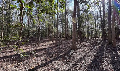 Photo #14 of SOLD property in Off Tuckers Road, Shacklefords, VA 25.5 acres