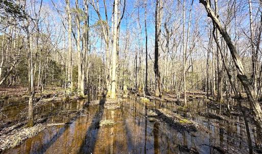 Photo #17 of SOLD property in Off Tuckers Road, Shacklefords, VA 25.5 acres