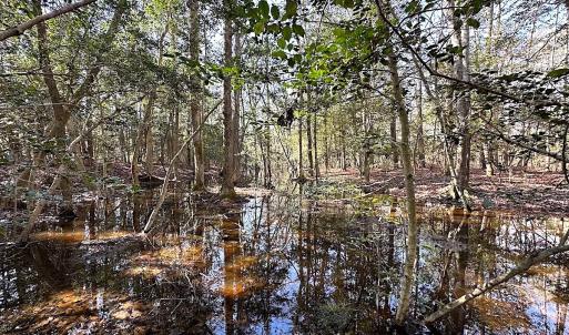Photo #20 of SOLD property in Off Tuckers Road, Shacklefords, VA 25.5 acres