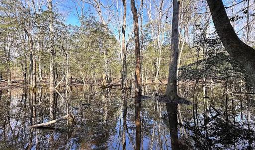 Photo #23 of SOLD property in Off Tuckers Road, Shacklefords, VA 25.5 acres