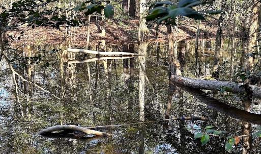 Photo #25 of SOLD property in Off Tuckers Road, Shacklefords, VA 25.5 acres
