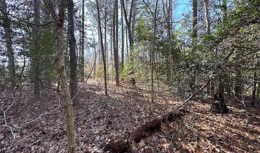 Photo #27 of SOLD property in Off Tuckers Road, Shacklefords, VA 25.5 acres