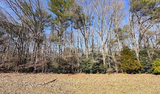 Photo #31 of SOLD property in Off Tuckers Road, Shacklefords, VA 25.5 acres