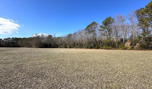 Photo #34 of SOLD property in Off Tuckers Road, Shacklefords, VA 25.5 acres