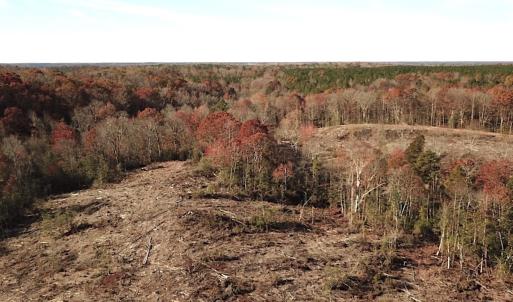 Photo #2 of SOLD property in Off The Trail, King and Queen, VA 148.0 acres