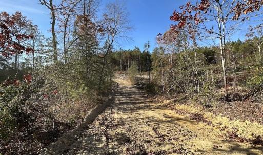 Photo #11 of SOLD property in Off The Trail, King and Queen, VA 148.0 acres