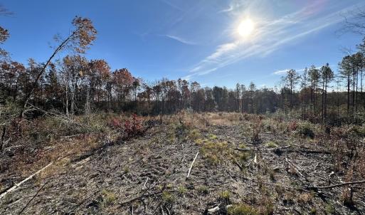 Photo #13 of SOLD property in Off The Trail, King and Queen, VA 148.0 acres