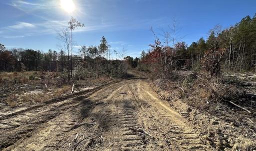 Photo #14 of SOLD property in Off The Trail, King and Queen, VA 148.0 acres