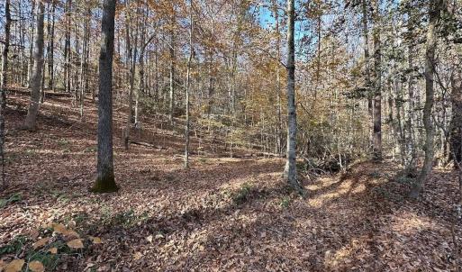 Photo #19 of SOLD property in Off The Trail, King and Queen, VA 148.0 acres