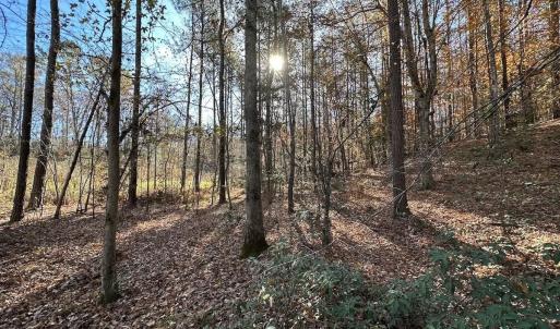 Photo #20 of SOLD property in Off The Trail, King and Queen, VA 148.0 acres