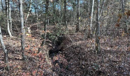 Photo #21 of SOLD property in Off The Trail, King and Queen, VA 148.0 acres