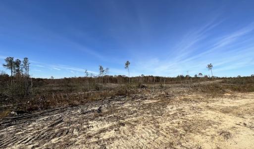 Photo #26 of SOLD property in Off The Trail, King and Queen, VA 148.0 acres